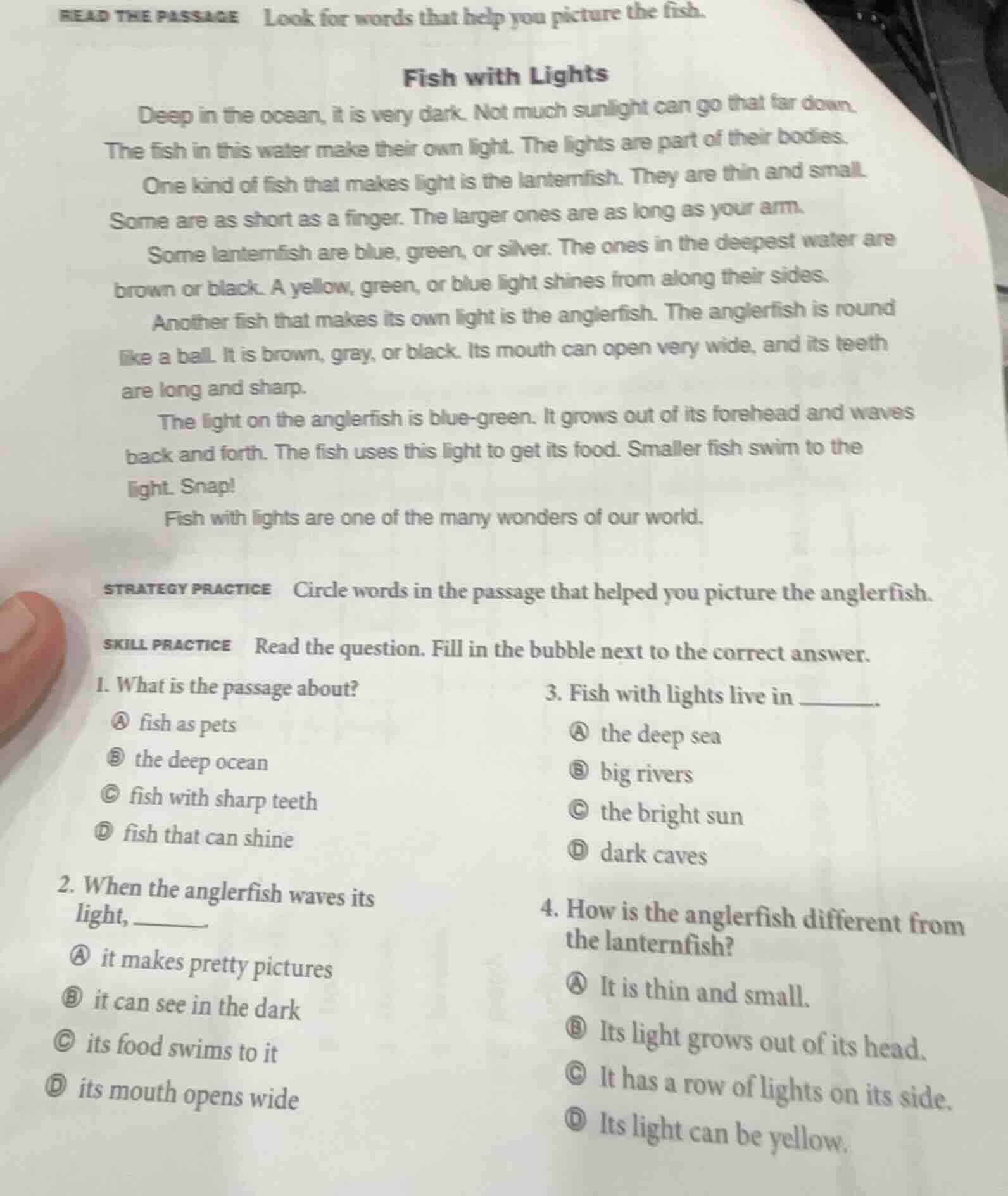 read the passage look for words that help you picture the fish. fish wi…