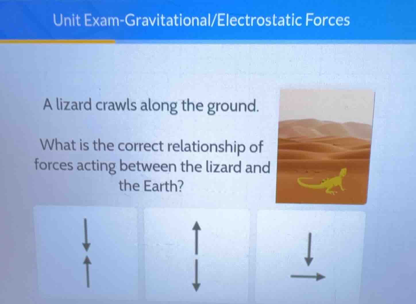 unit exam - gravitational/electrostatic forces a lizard crawls along th…