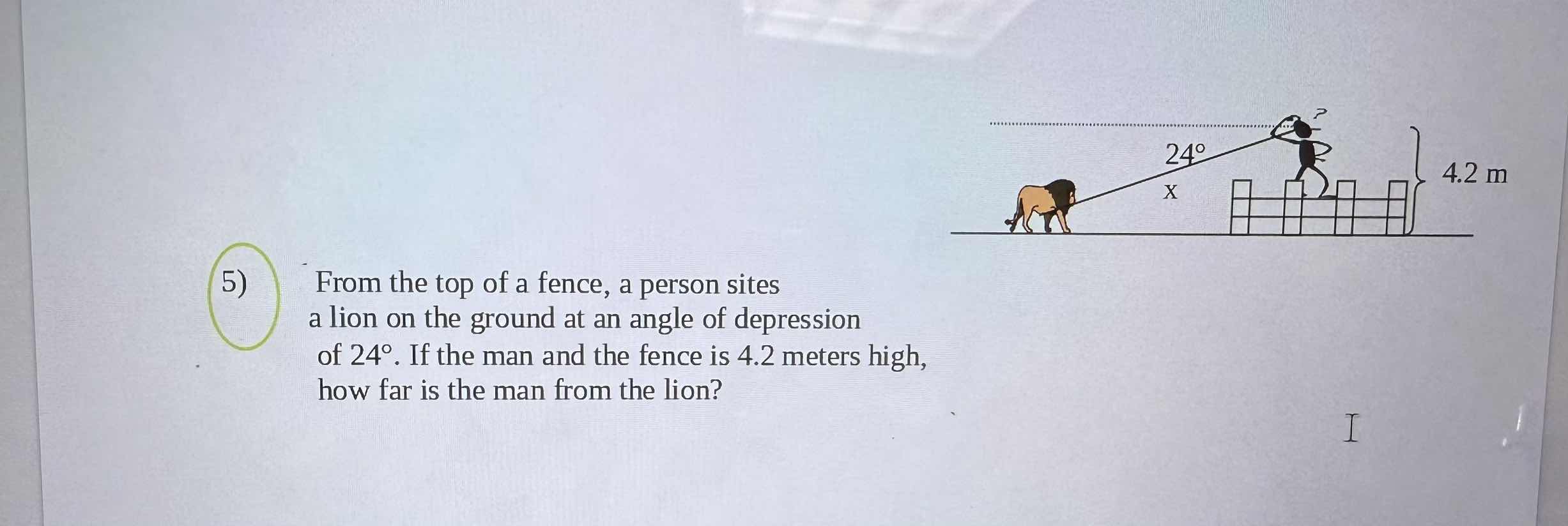 5) from the top of a fence, a person sites a lion on the ground at an a…