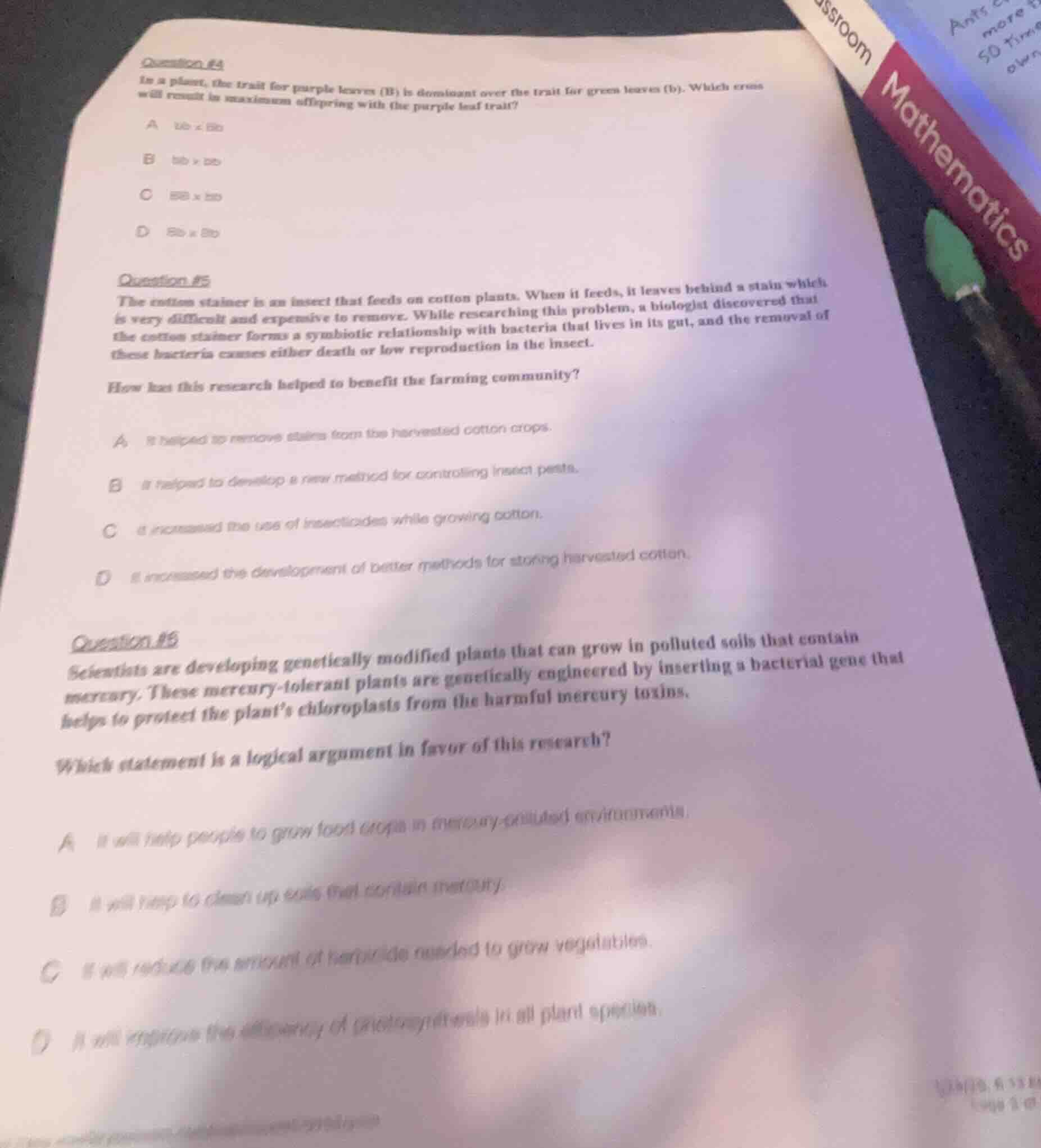 question #4 in a plant, the trait for purple leaves (b) is dominant ove…