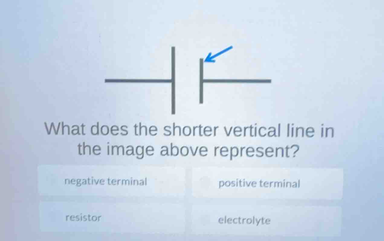 what does the shorter vertical line in the image above represent? negat…