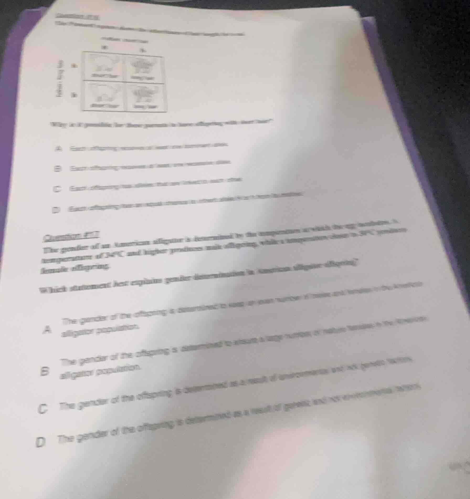 question #11 the gender of an american alligator is determined by the t…