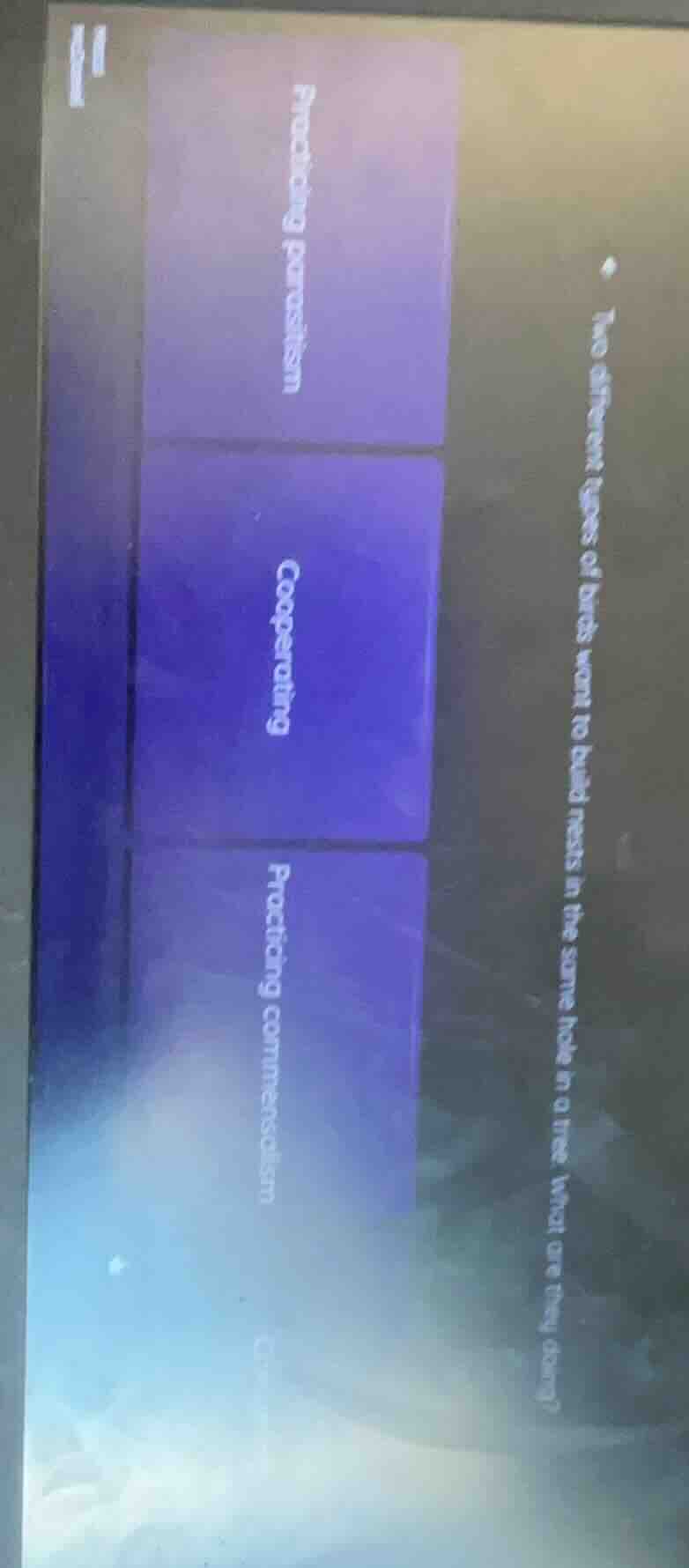 two different types of birds want to build nests in the same hole in a …