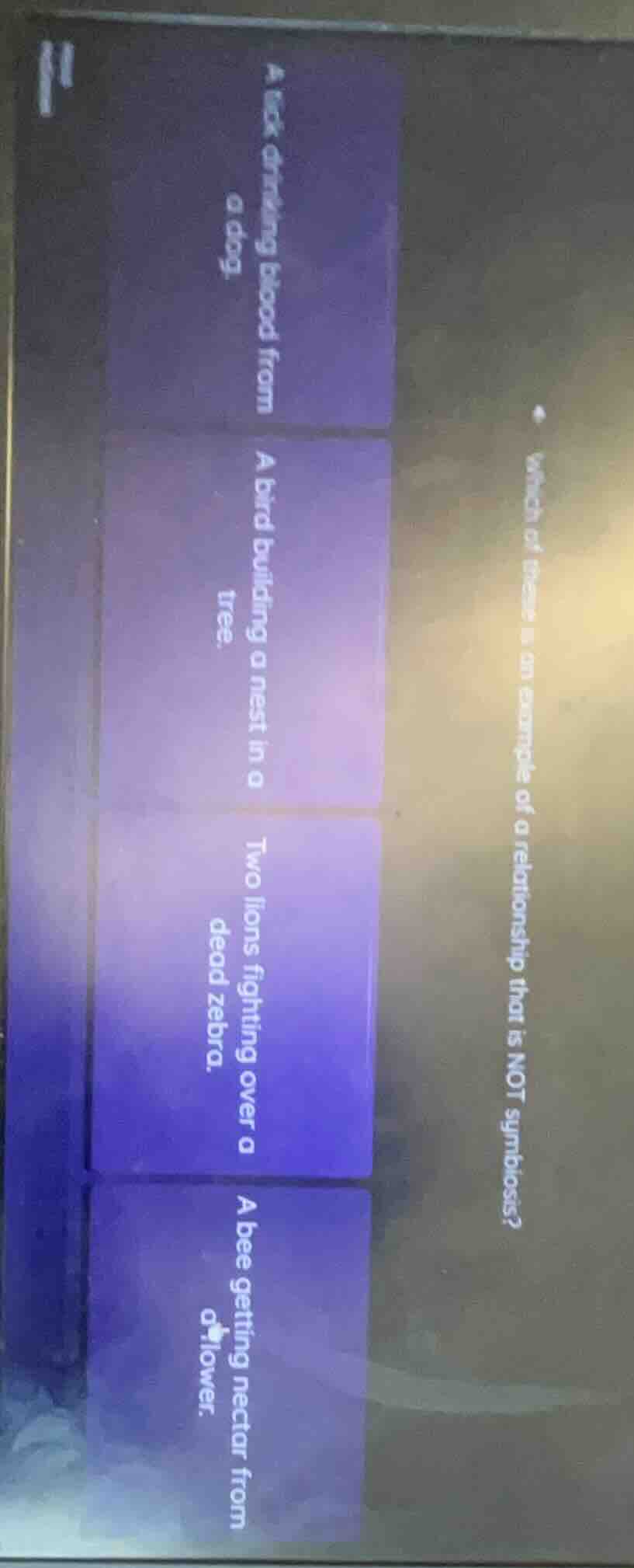 which of these is an example of a relationship that is not symbiosis? a…