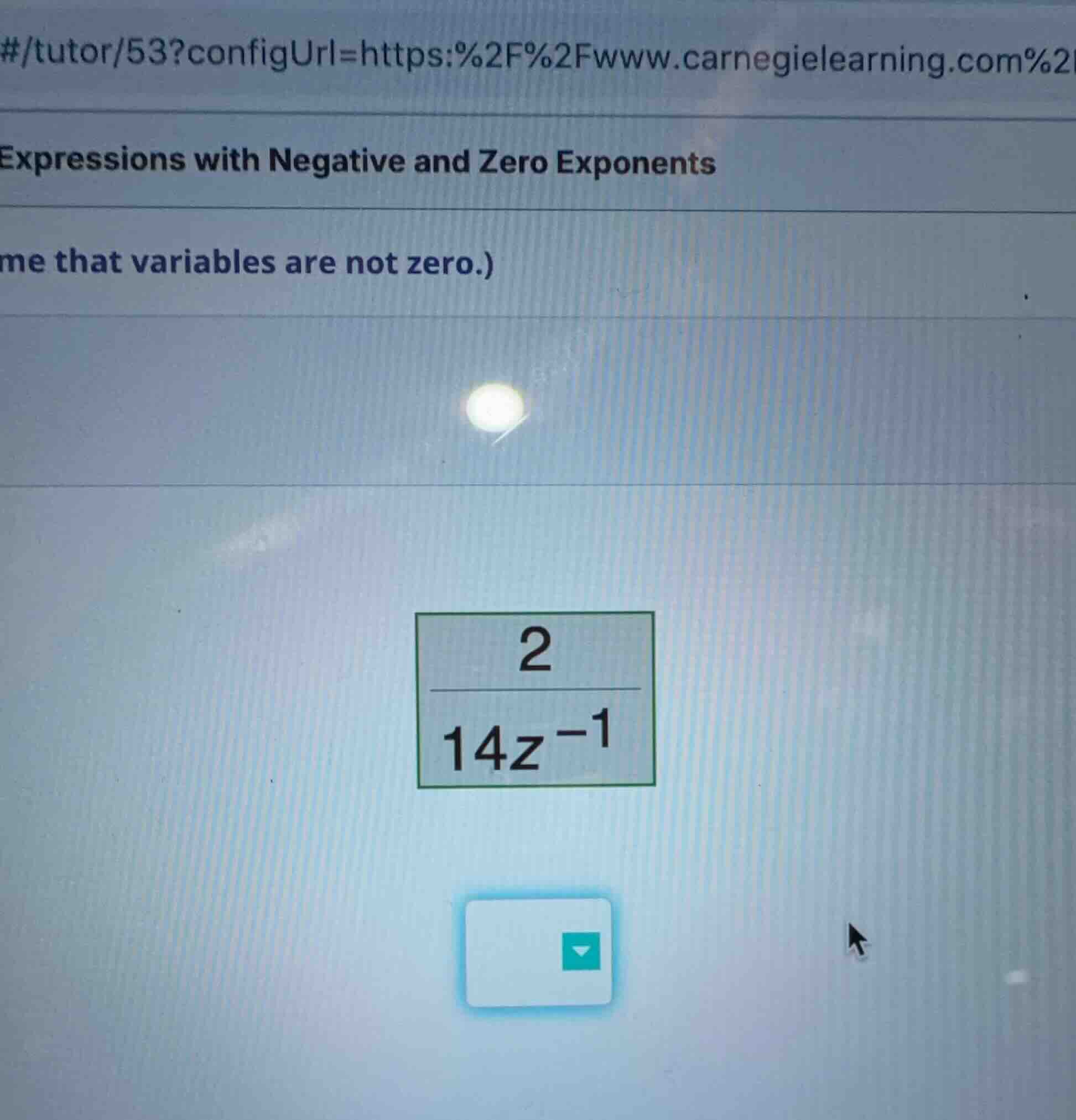 expressions with negative and zero exponents me that variables are not …