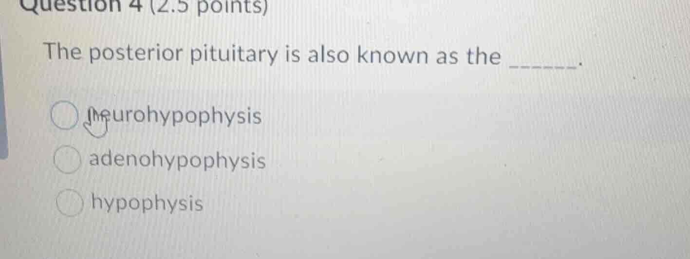 question 4 (2.5 points) the posterior pituitary is also known as the __…