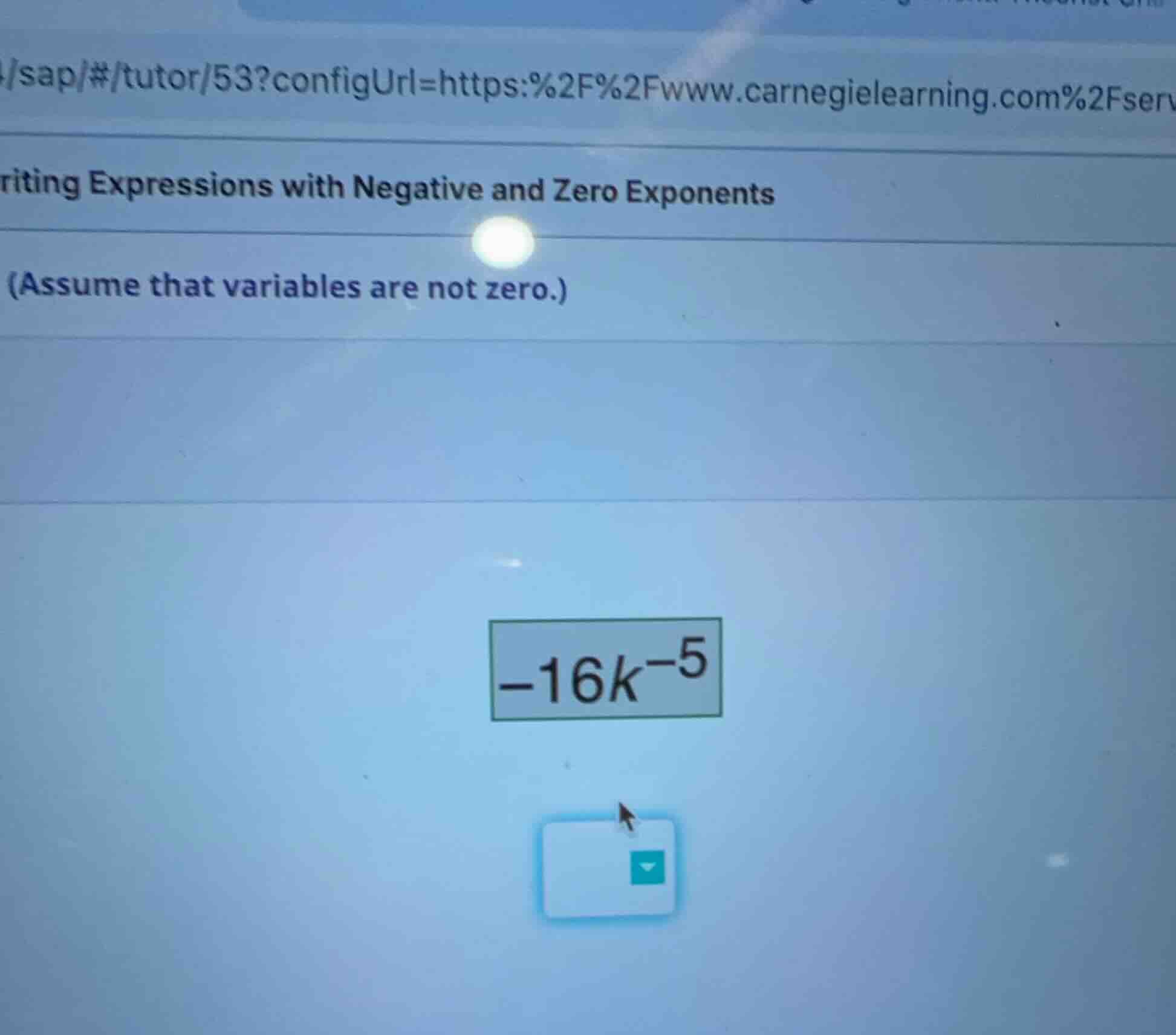 riting expressions with negative and zero exponents (assume that variab…