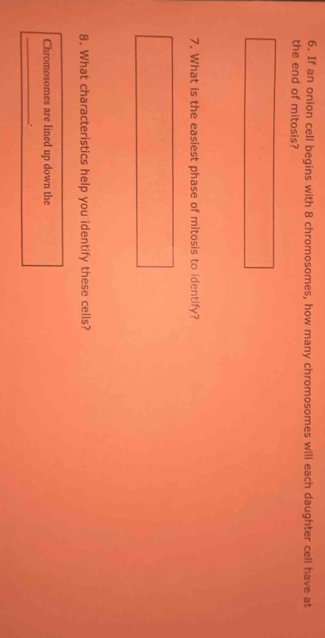 6. if an onion cell begins with 8 chromosomes, how many chromosomes wil…