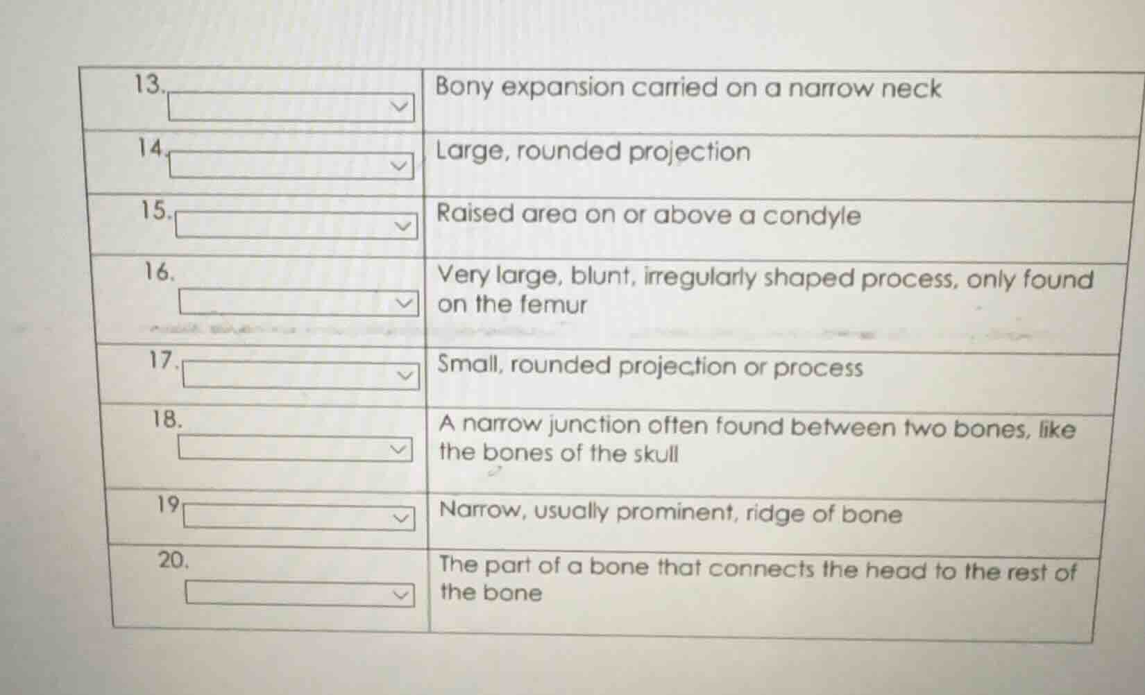13. bony expansion carried on a narrow neck 14. large, rounded projecti…