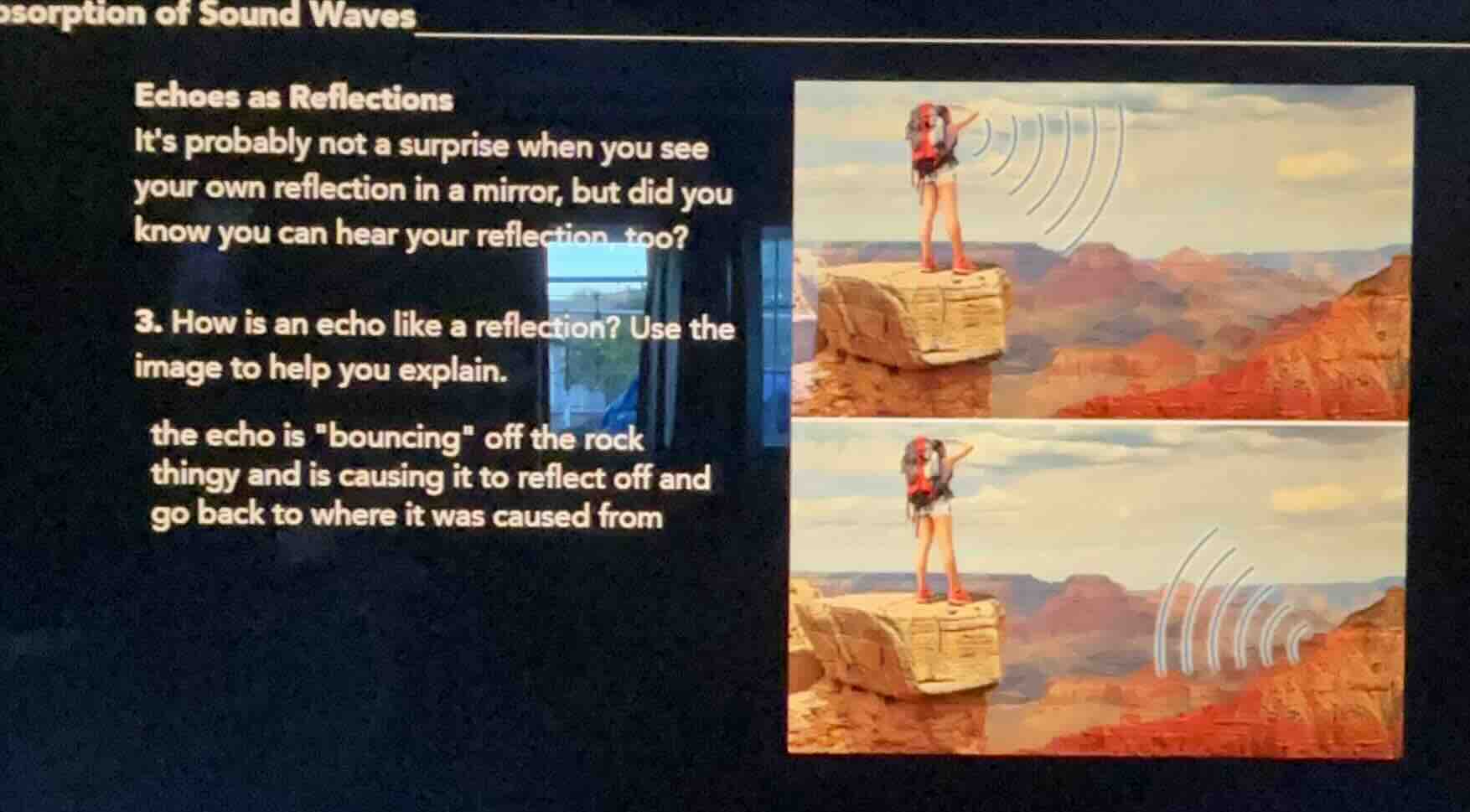 absorption of sound waves echoes as reflections its probably not a surp…