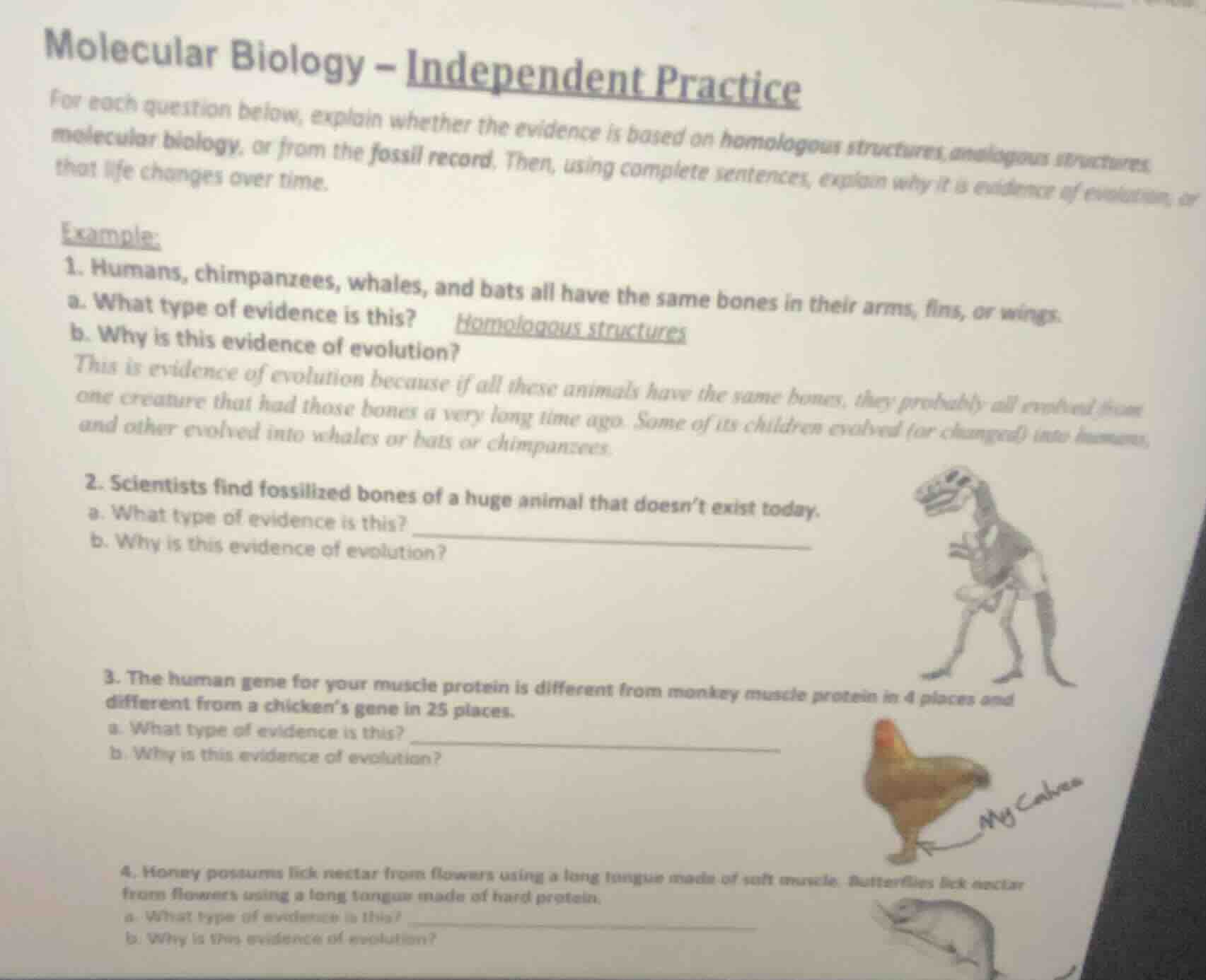 molecular biology – independent practice for each question below, expla…