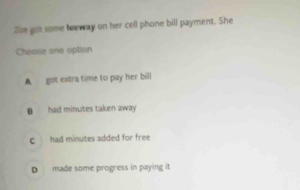 zan got some leeway on her cell phone bill payment. she choose one opti…