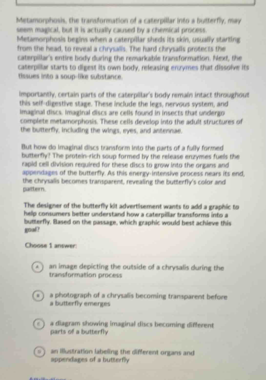 metamorphosis, the transformation of a caterpillar into a butterfly, ma…