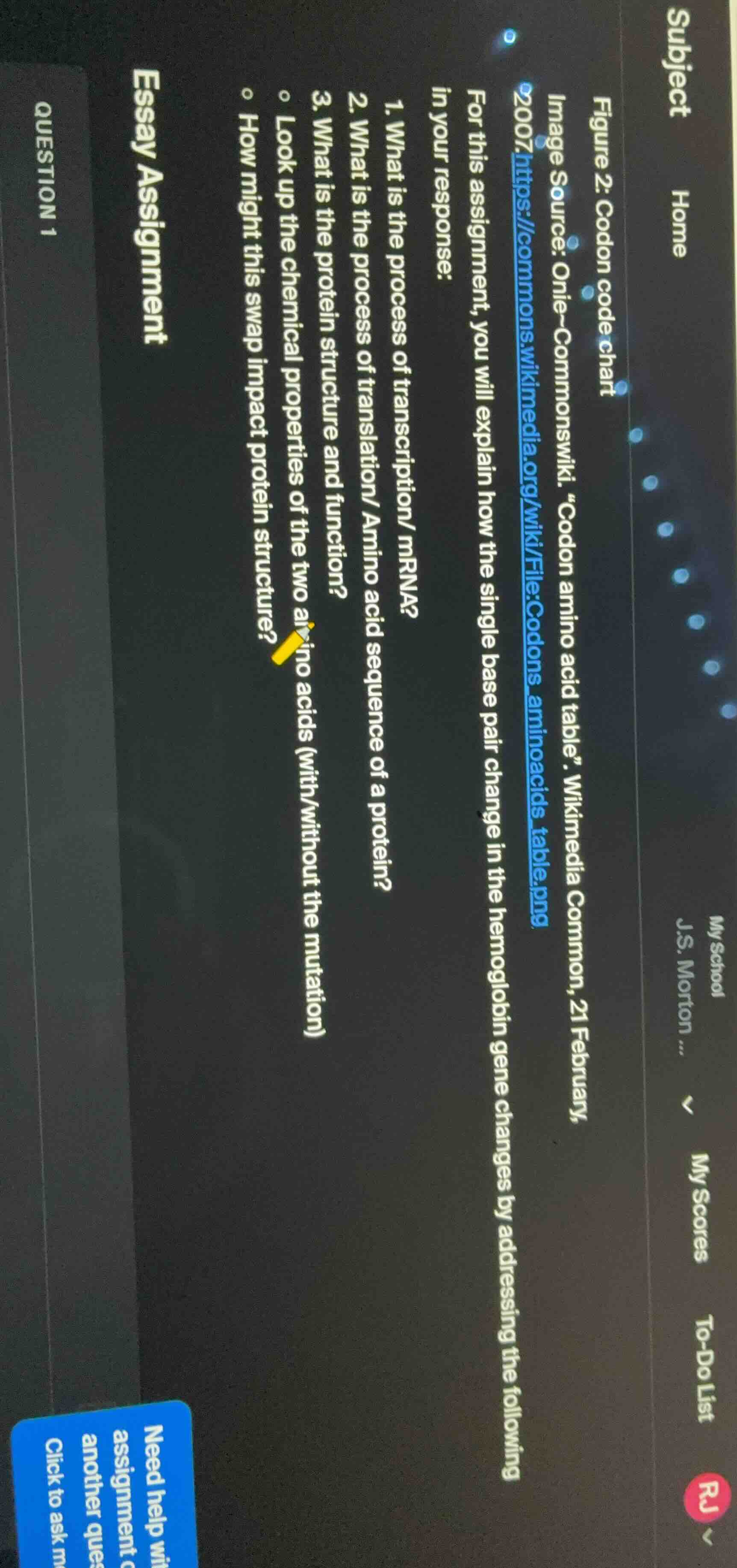 figure 2: codon codechart image source: onie–commonswiki. “codon amino …