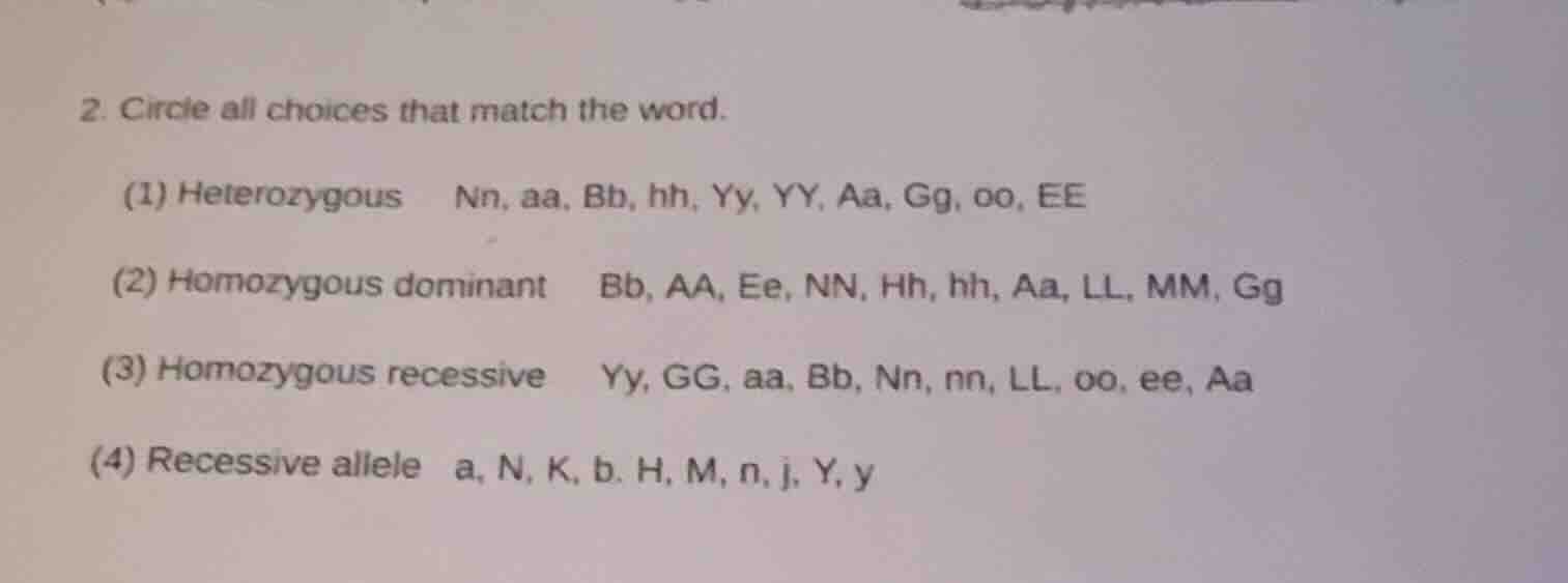 2. circle all choices that match the word. (1) heterozygous nn, aa, bb,…