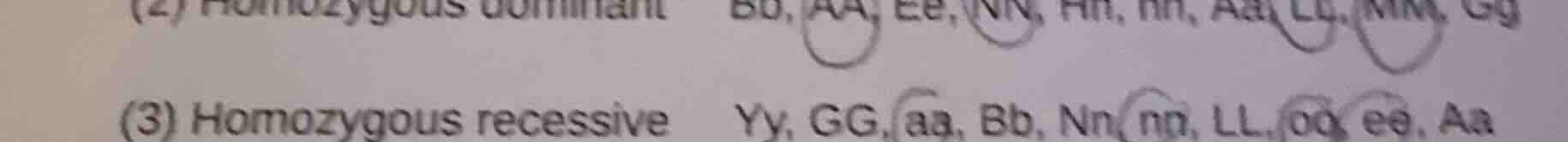 (2) homozygous dominant bb, aa, ee, nn, hh, hh, aa, ll, mm, gg (3) homo…