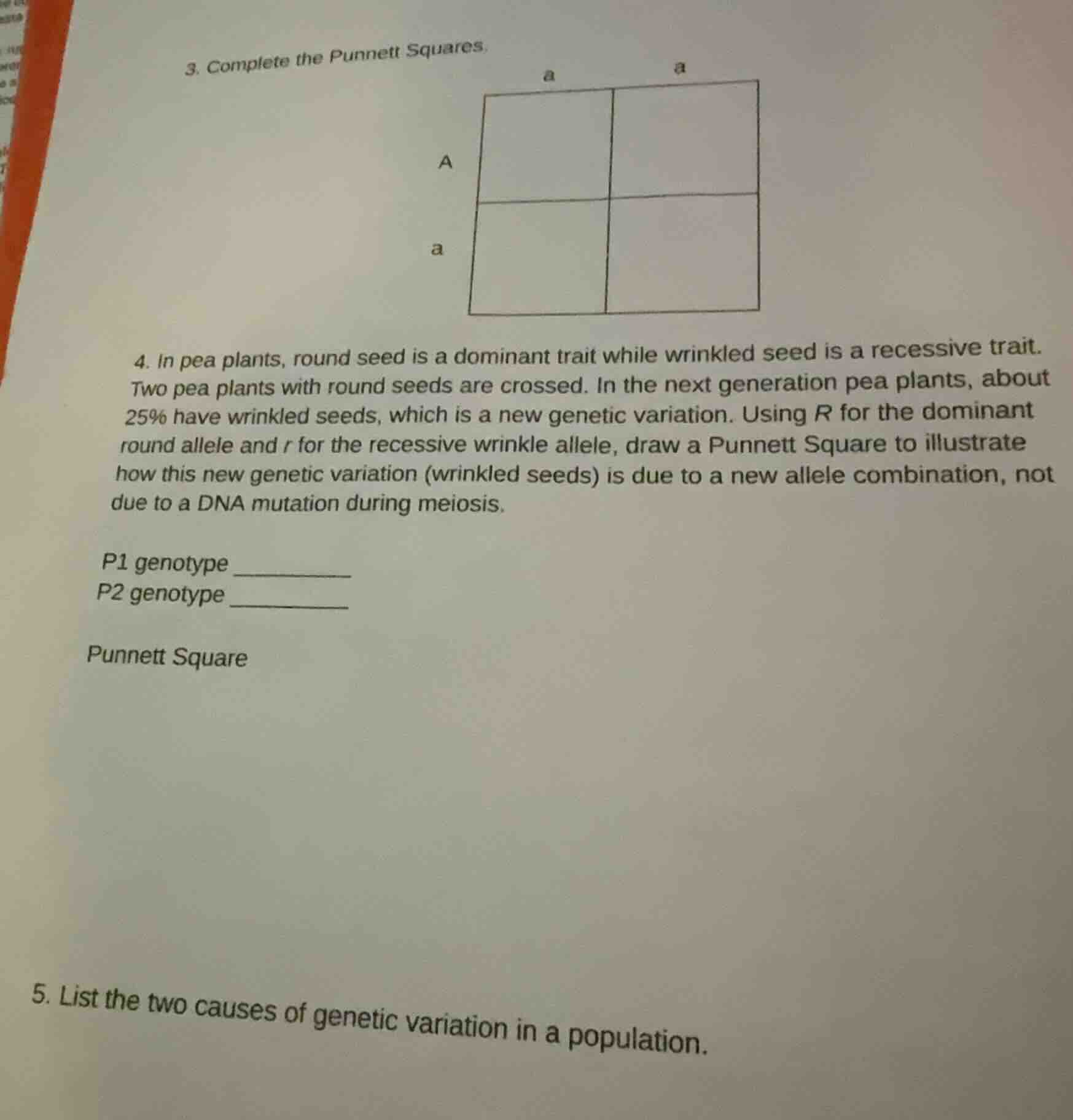 3. complete the punnett squares. 4. in pea plants, round seed is a domi…