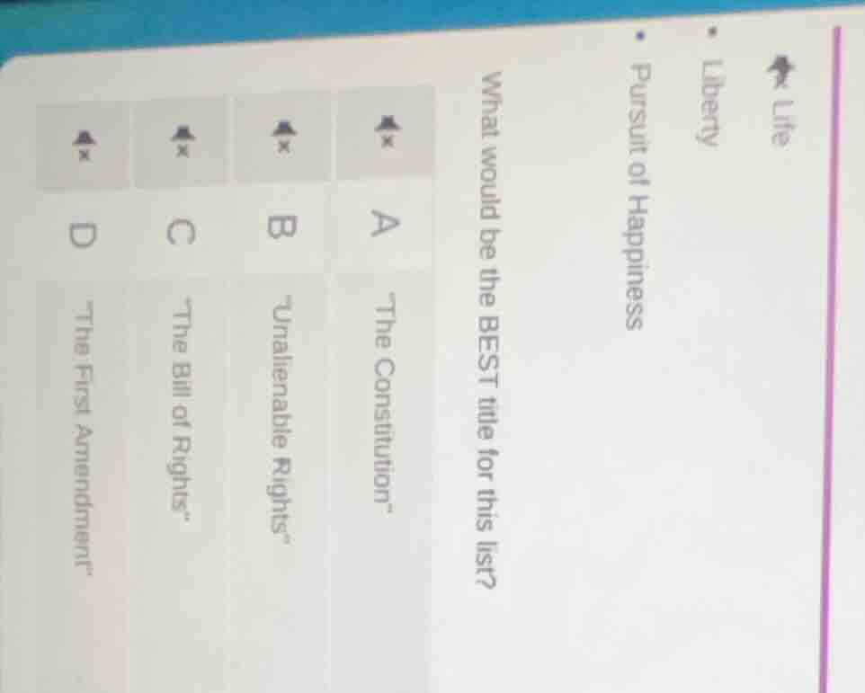 life liberty pursuit of happiness what would be the best title for this…