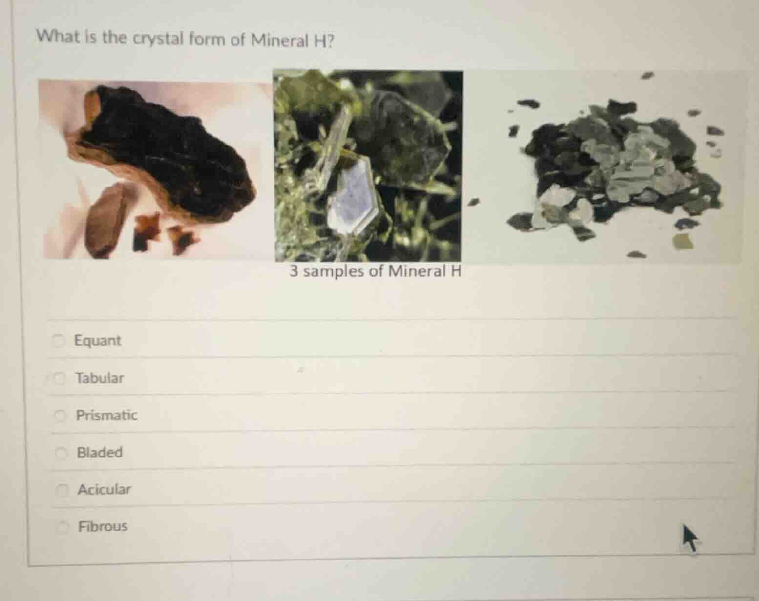 what is the crystal form of mineral h? 3 samples of mineral h equant ta…