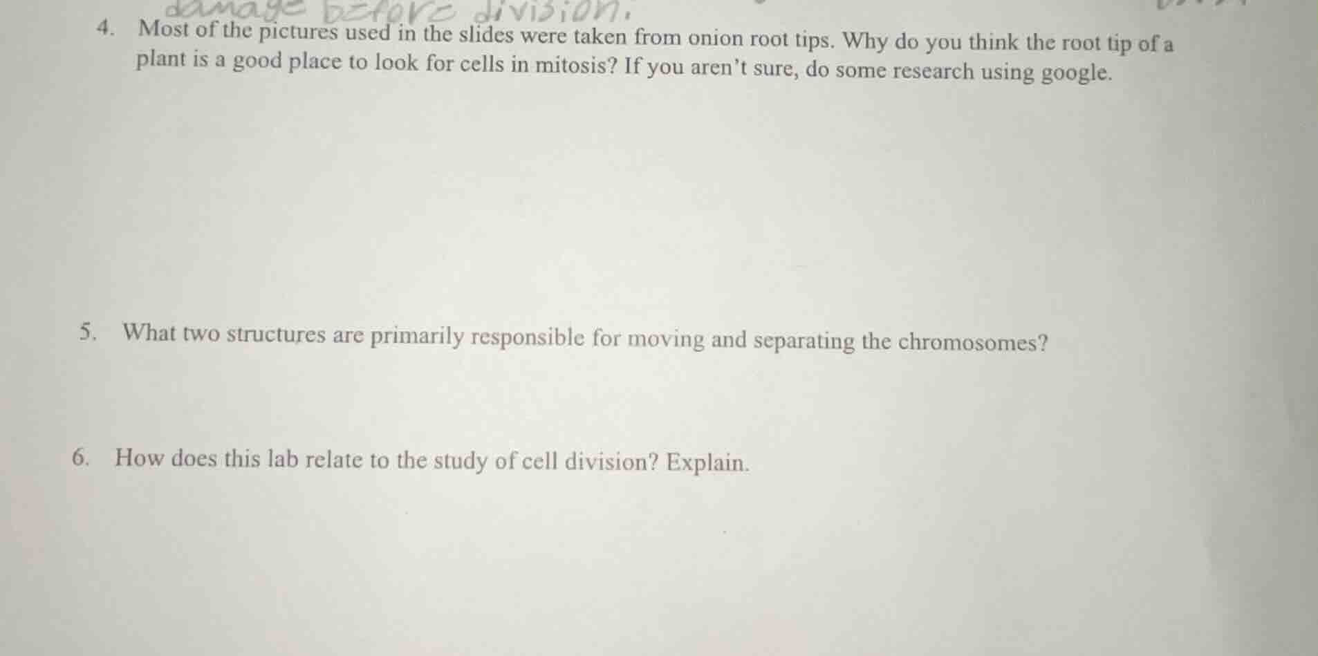 4. most of the pictures used in the slides were taken from onion root t…