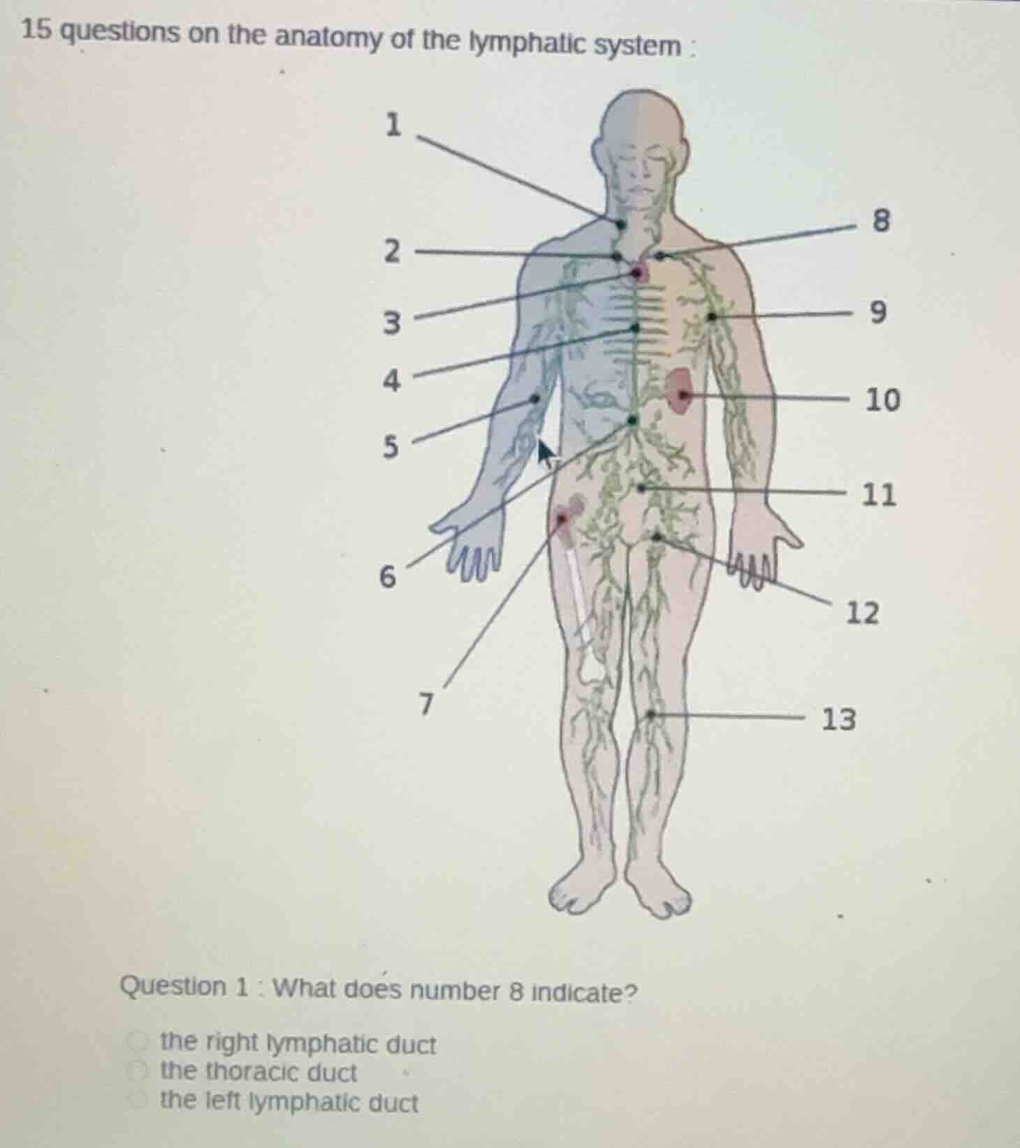 15 questions on the anatomy of the lymphatic system : question 1 : what…