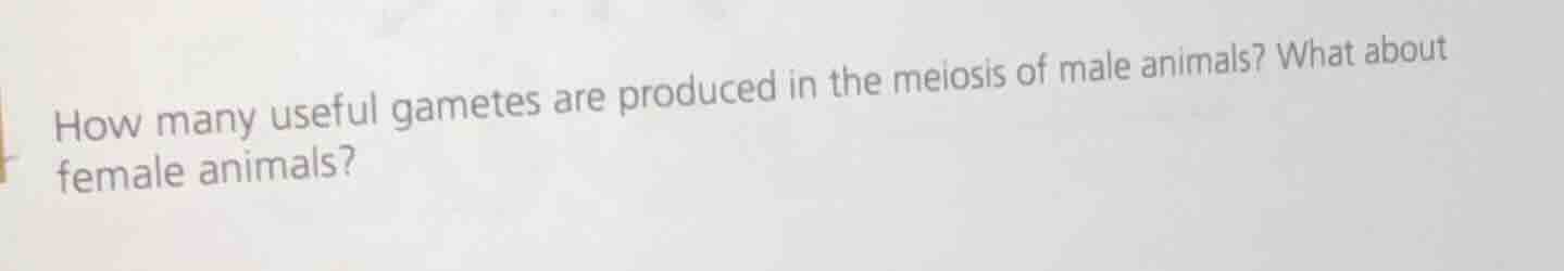 how many useful gametes are produced in the meiosis of male animals? wh…
