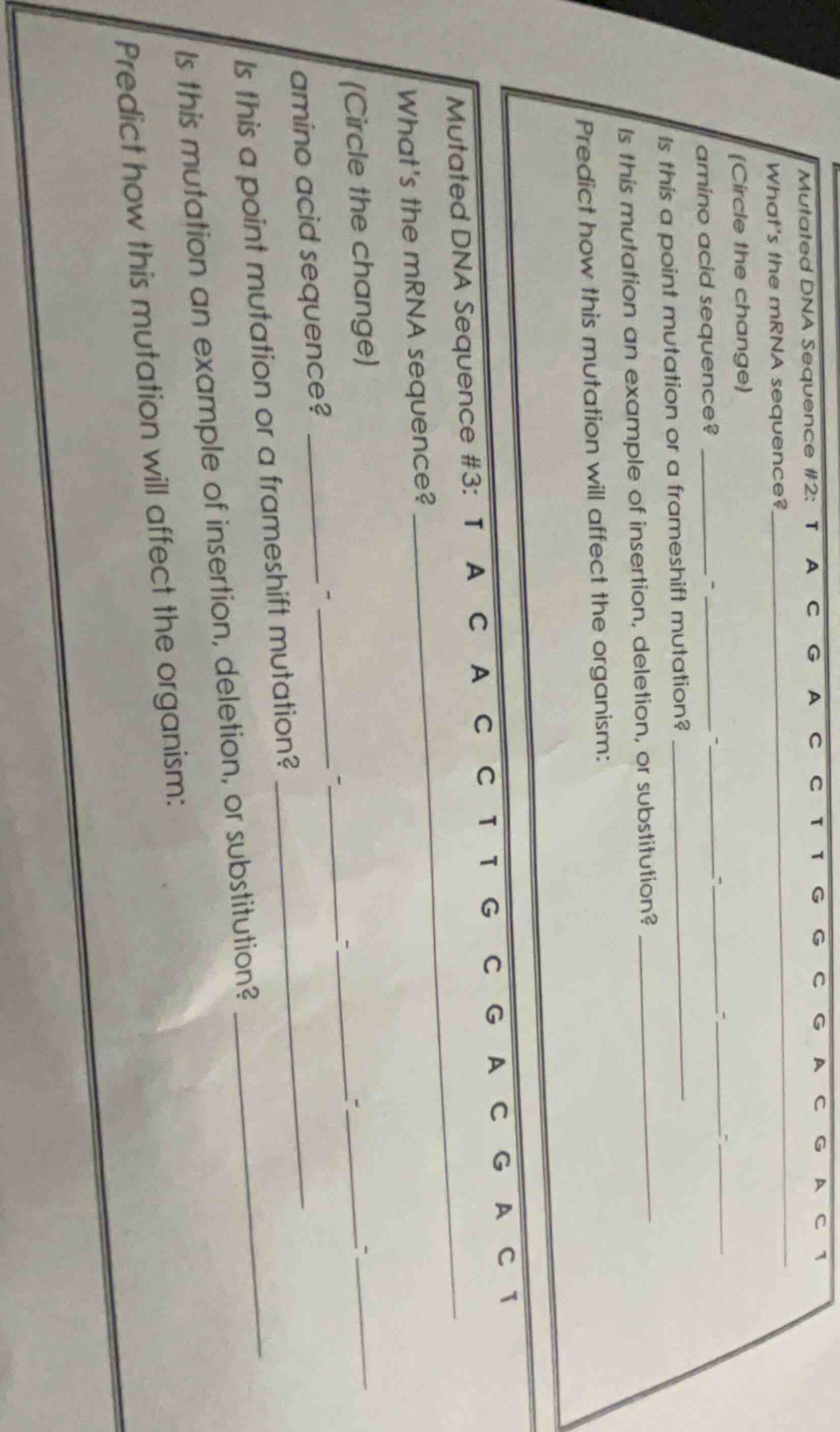 mutated dna sequence #2: t a c g a c c t t g g c g a c g a c t what’s t…