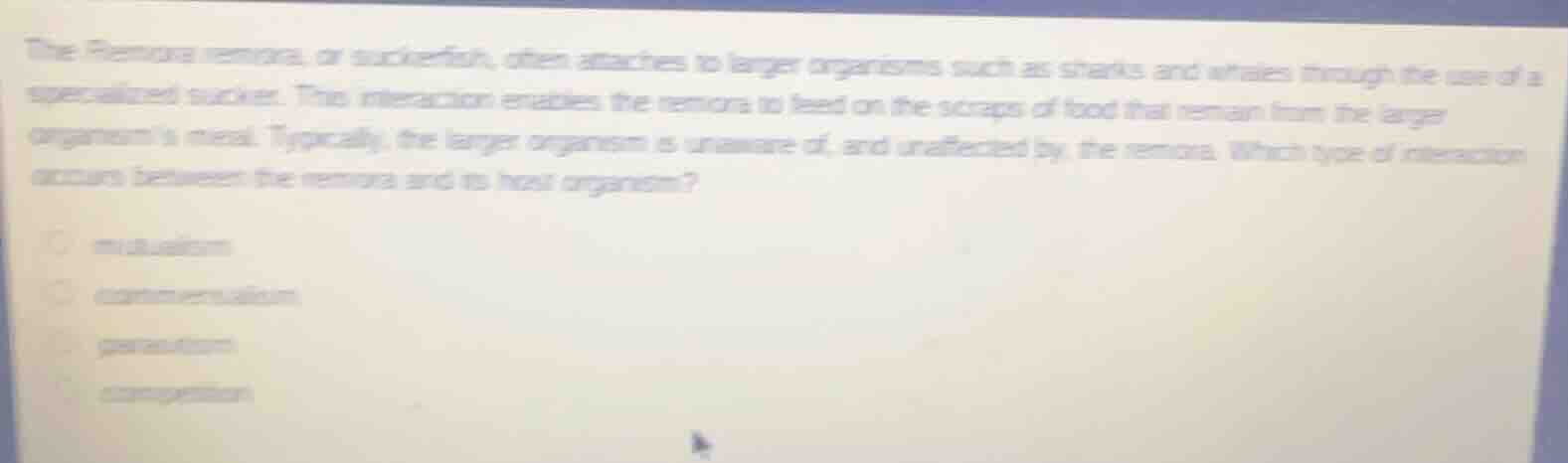 the remora remora, or suckerfish, often attaches to larger organisms su…