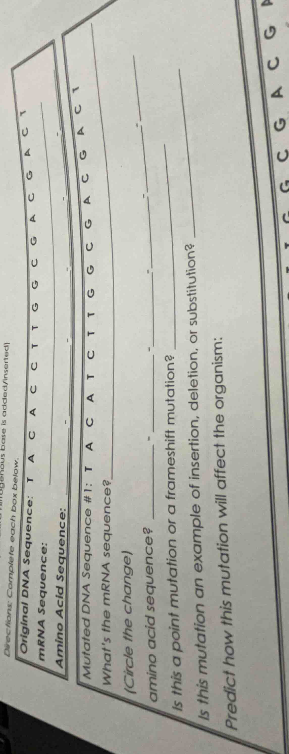 directions: complete each box below. original dna sequence: t a c a c c…