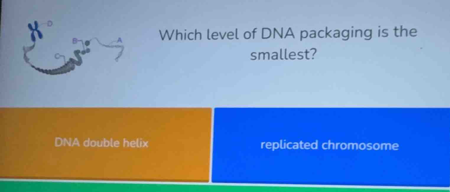which level of dna packaging is the smallest? dna double helix replicat…