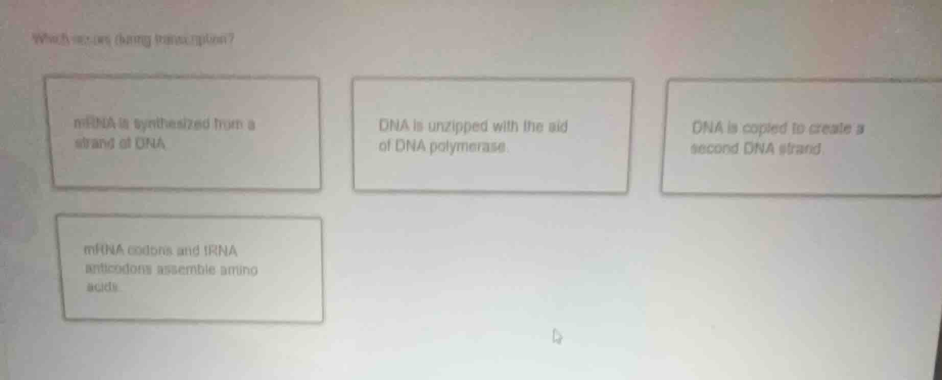 which occurs during transcription? mrna is synthesized from a strand of…