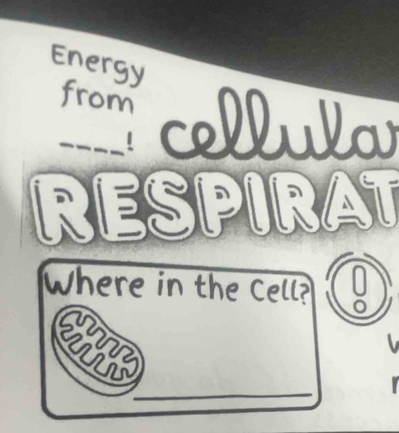 energy from ----! cellular respirat where in the cell? image of mitocho…