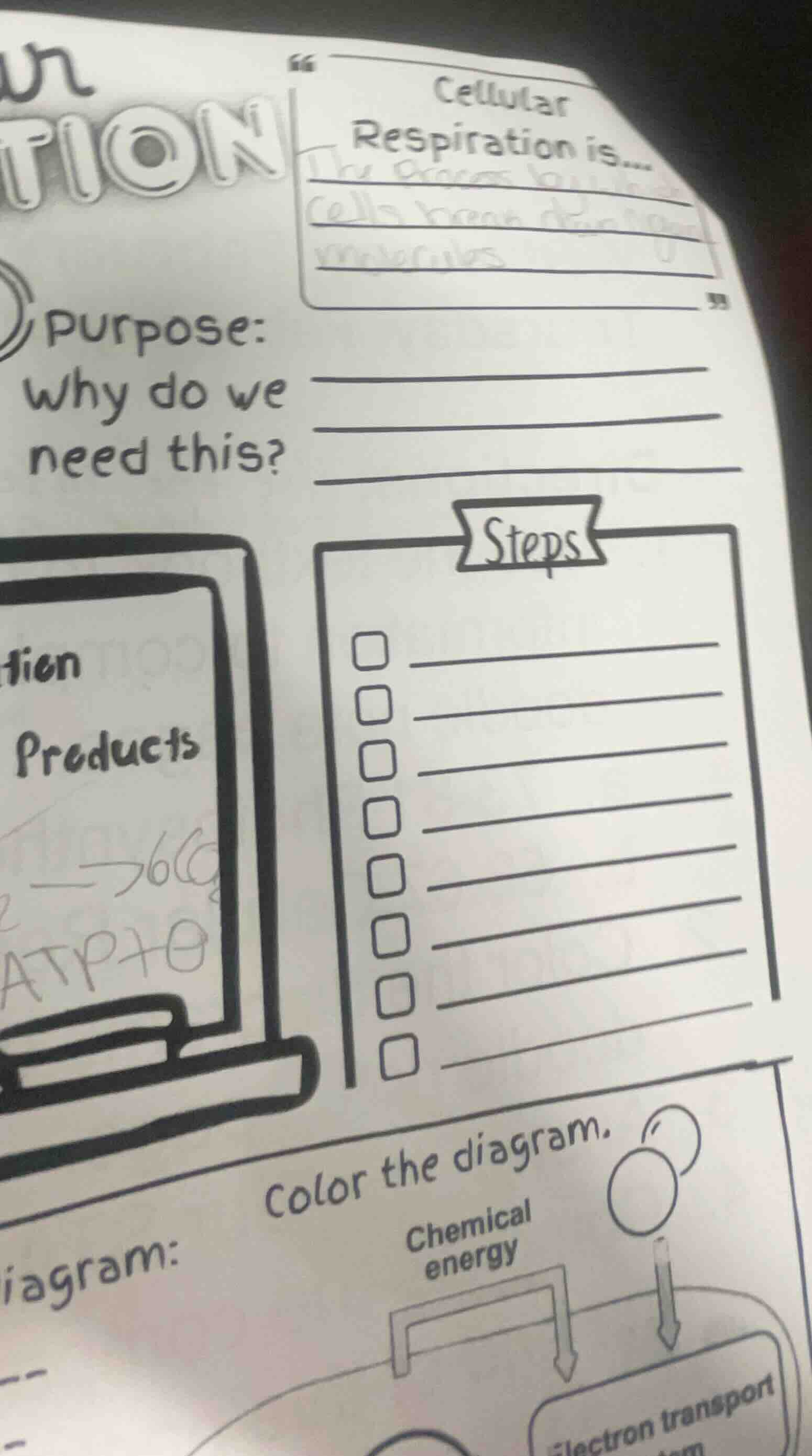 cellular respiration is... purpose: why do we need this? steps products…