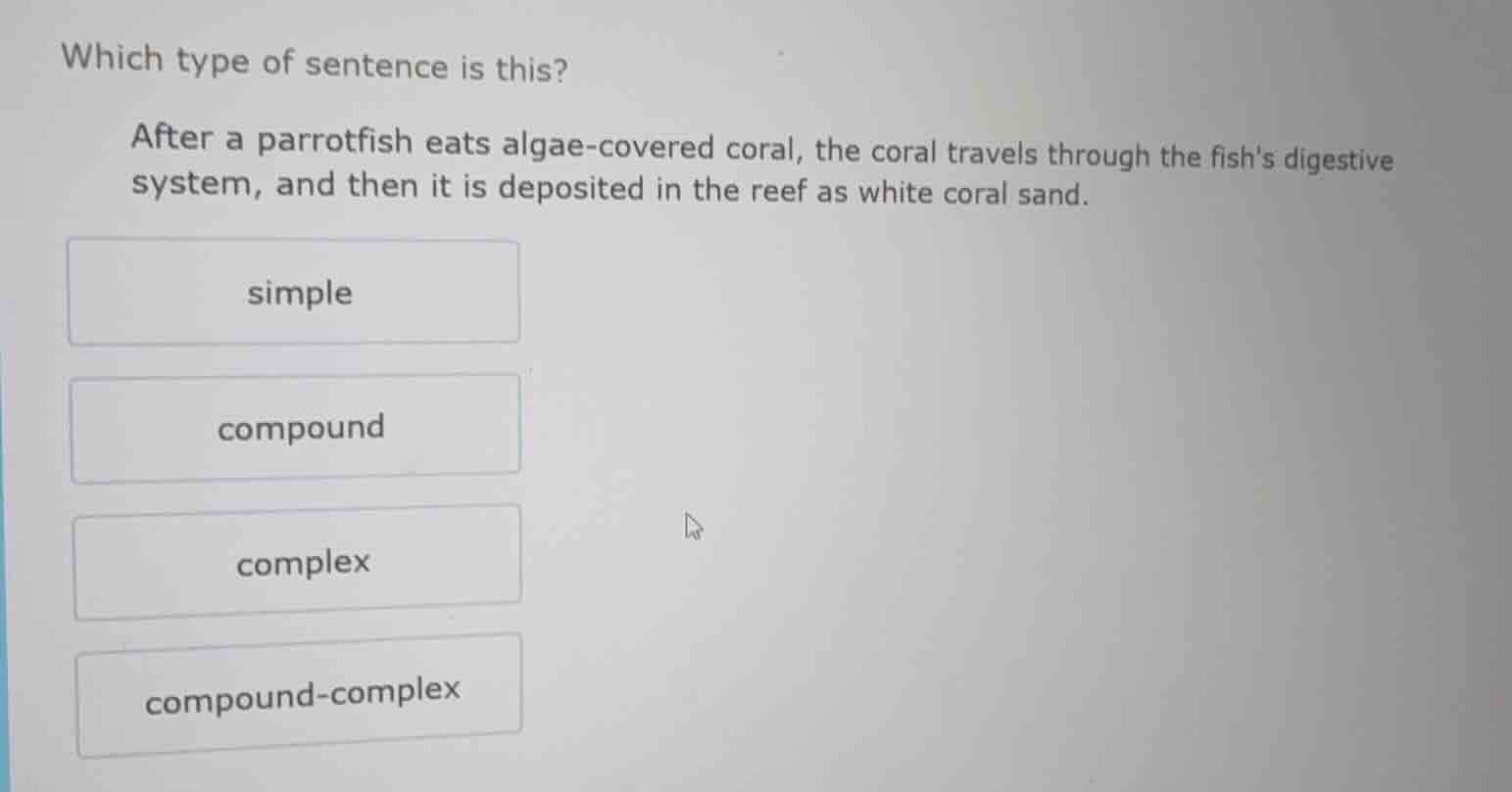 which type of sentence is this? after a parrotfish eats algae - covered…