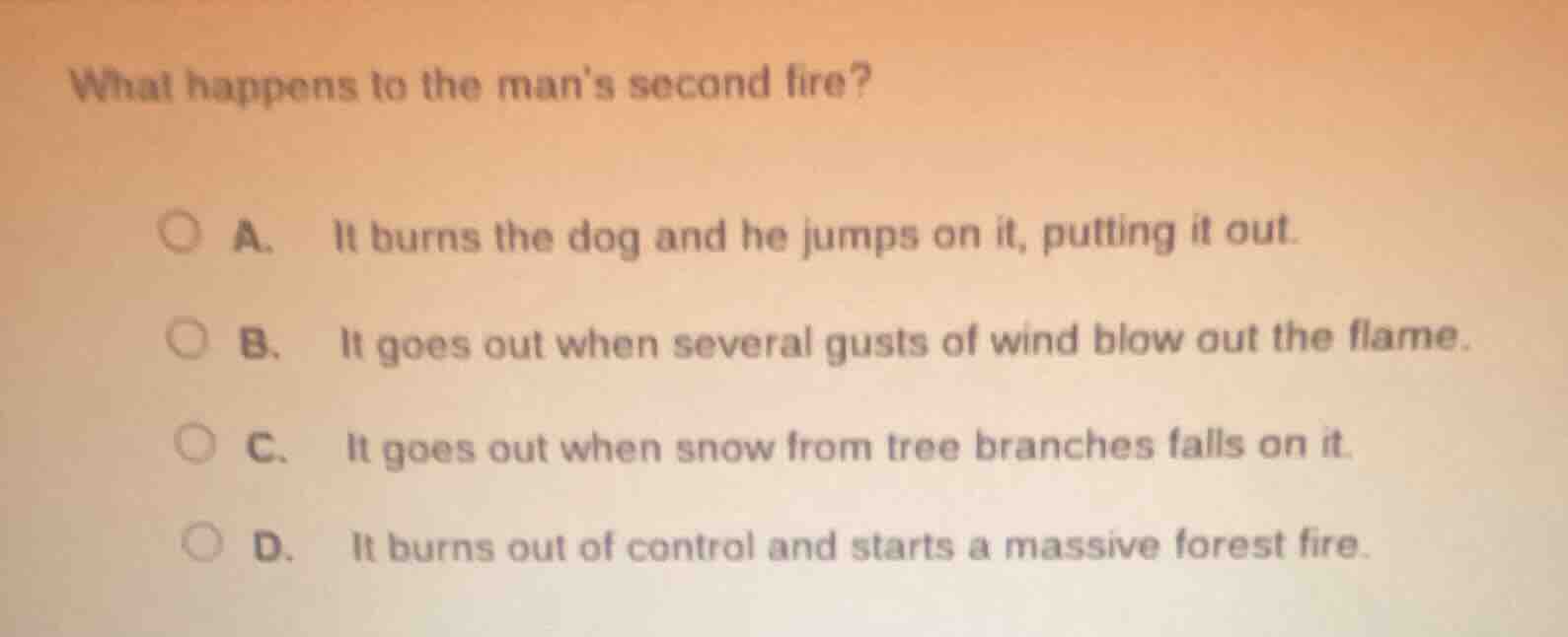 what happens to the mans second fire? a. it burns the dog and he jumps …