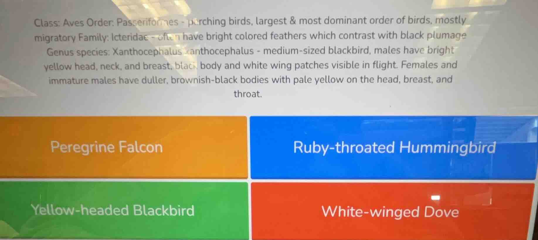 class: aves order: passeriformes - perching birds, largest & most domin…