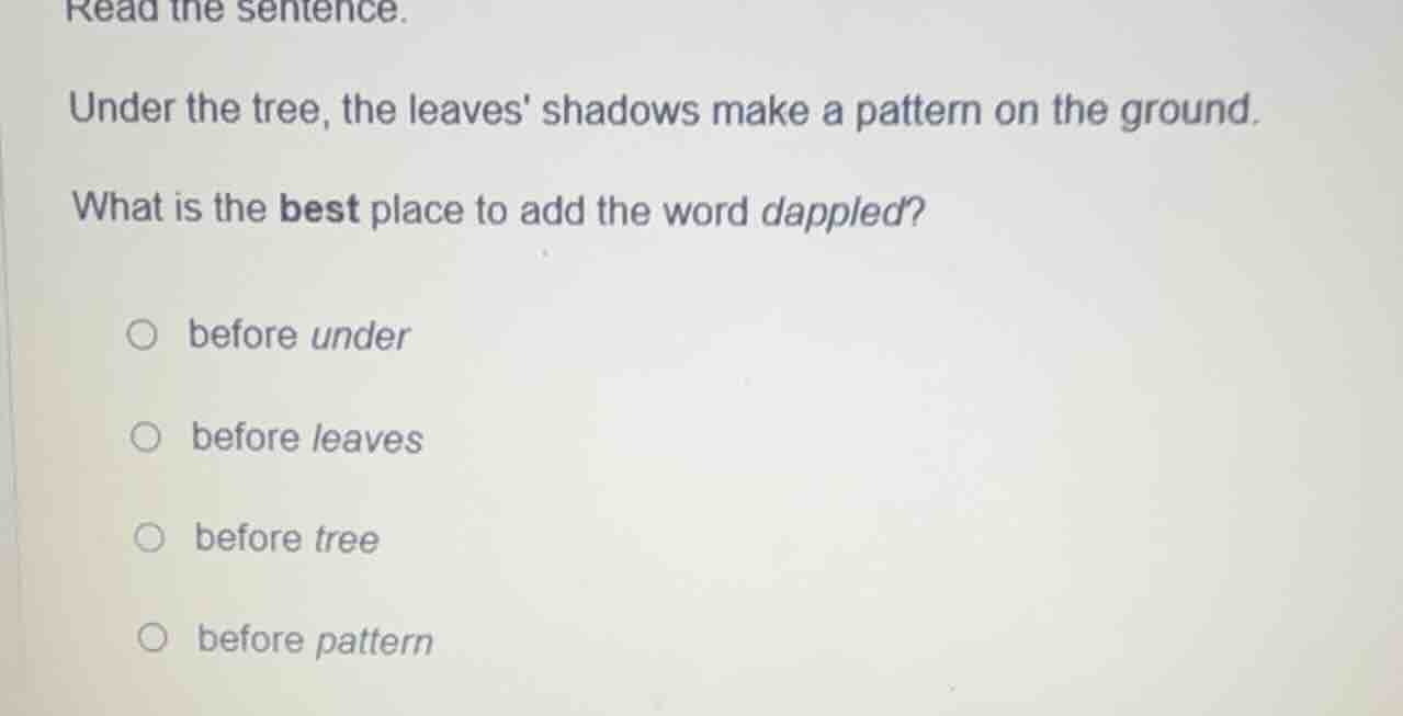 read the sentence. under the tree, the leaves shadows make a pattern on…