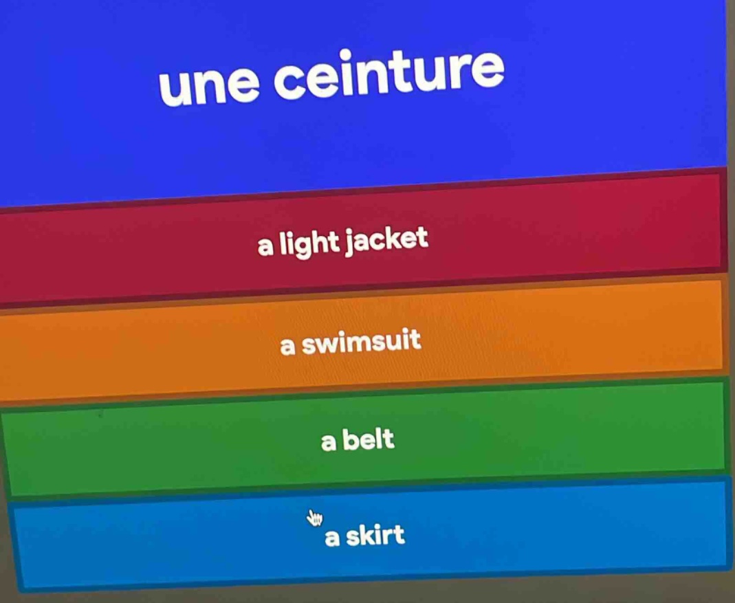 une ceinture a light jacket a swimsuit a belt a skirt