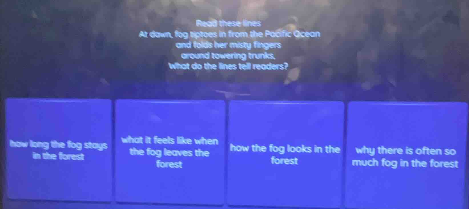 read these lines at dawn, fog tiptoes in from the pacific ocean and fol…