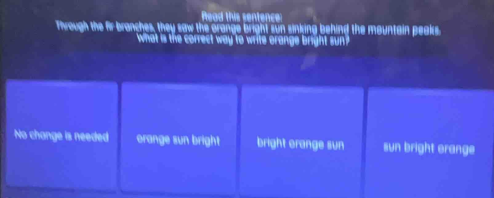 read this sentence: through the branches, they saw the orange bright su…