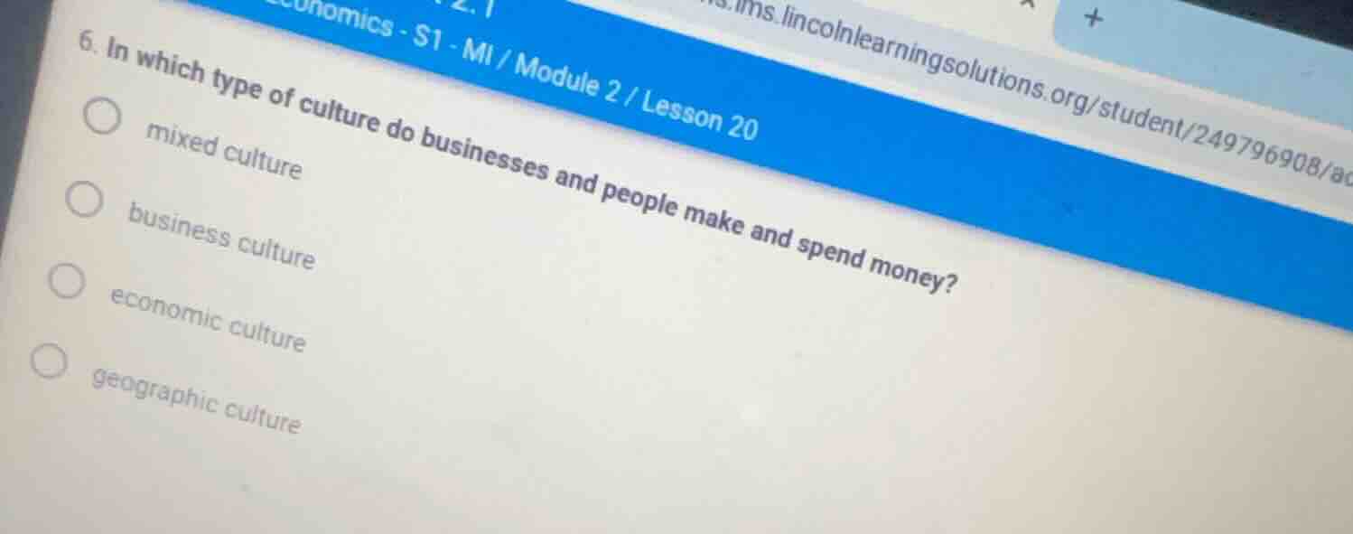 6. in which type of culture do businesses and people make and spend mon…