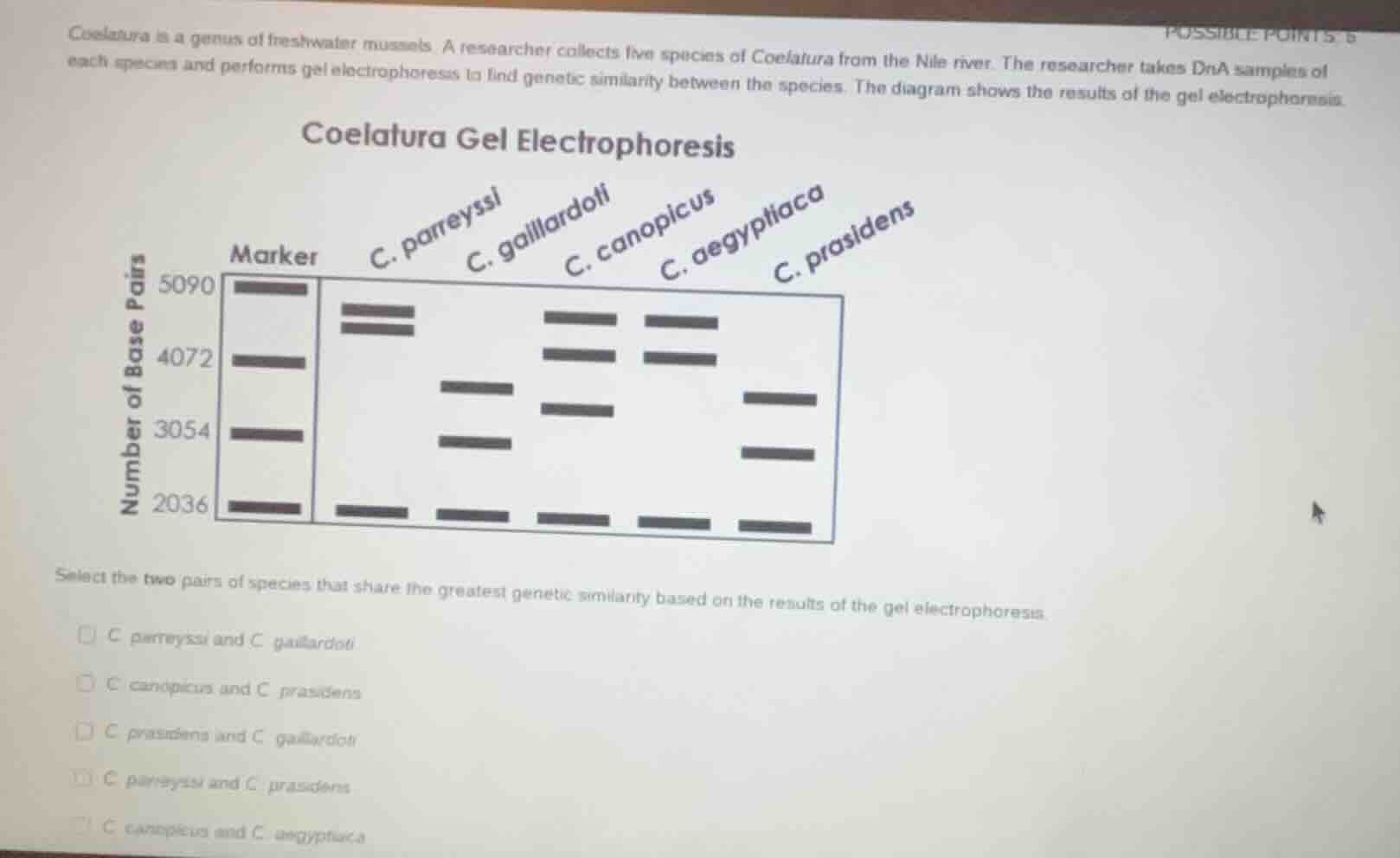 coelatura is a genus of freshwater mussels. a researcher collects five …