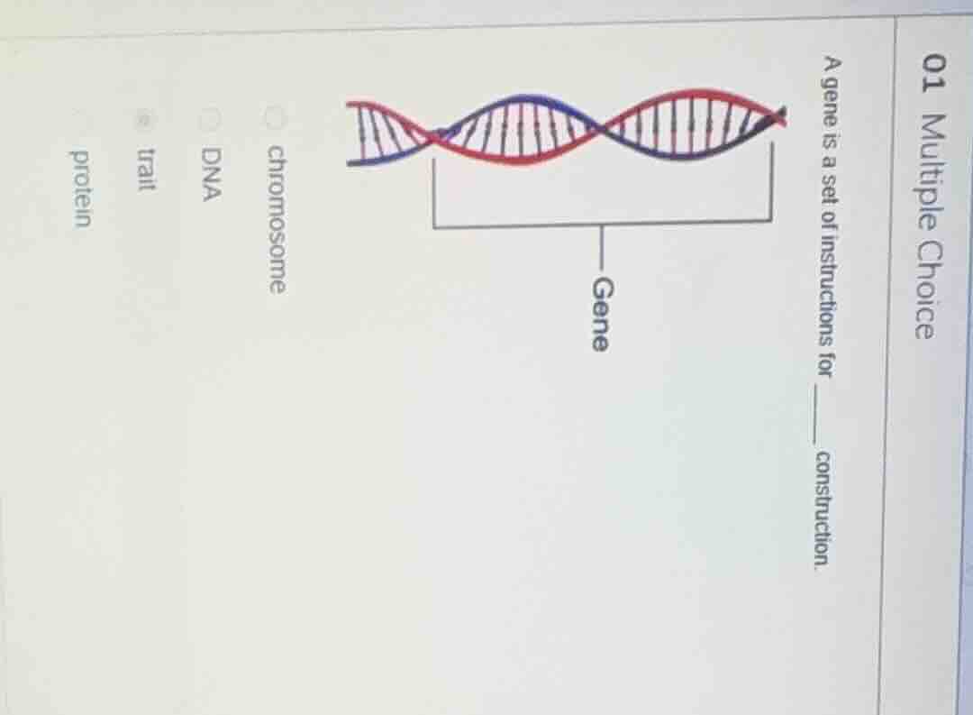 01 multiple choice a gene is a set of instructions for ______ construct…