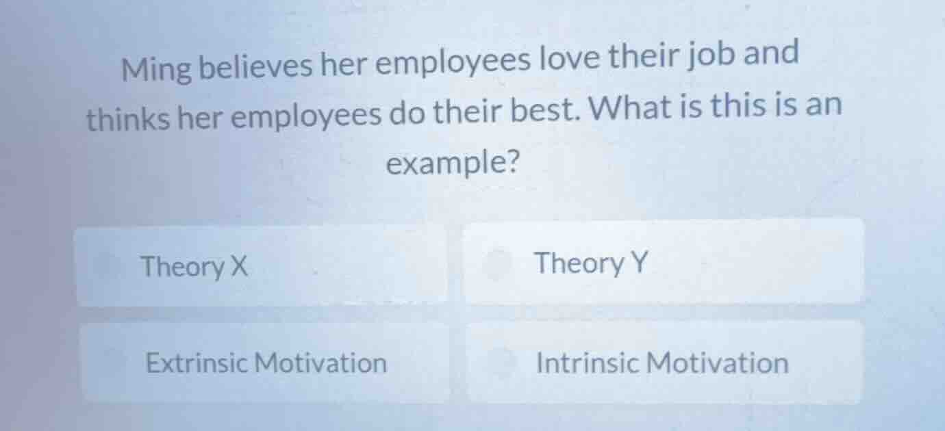 ming believes her employees love their job and thinks her employees do …