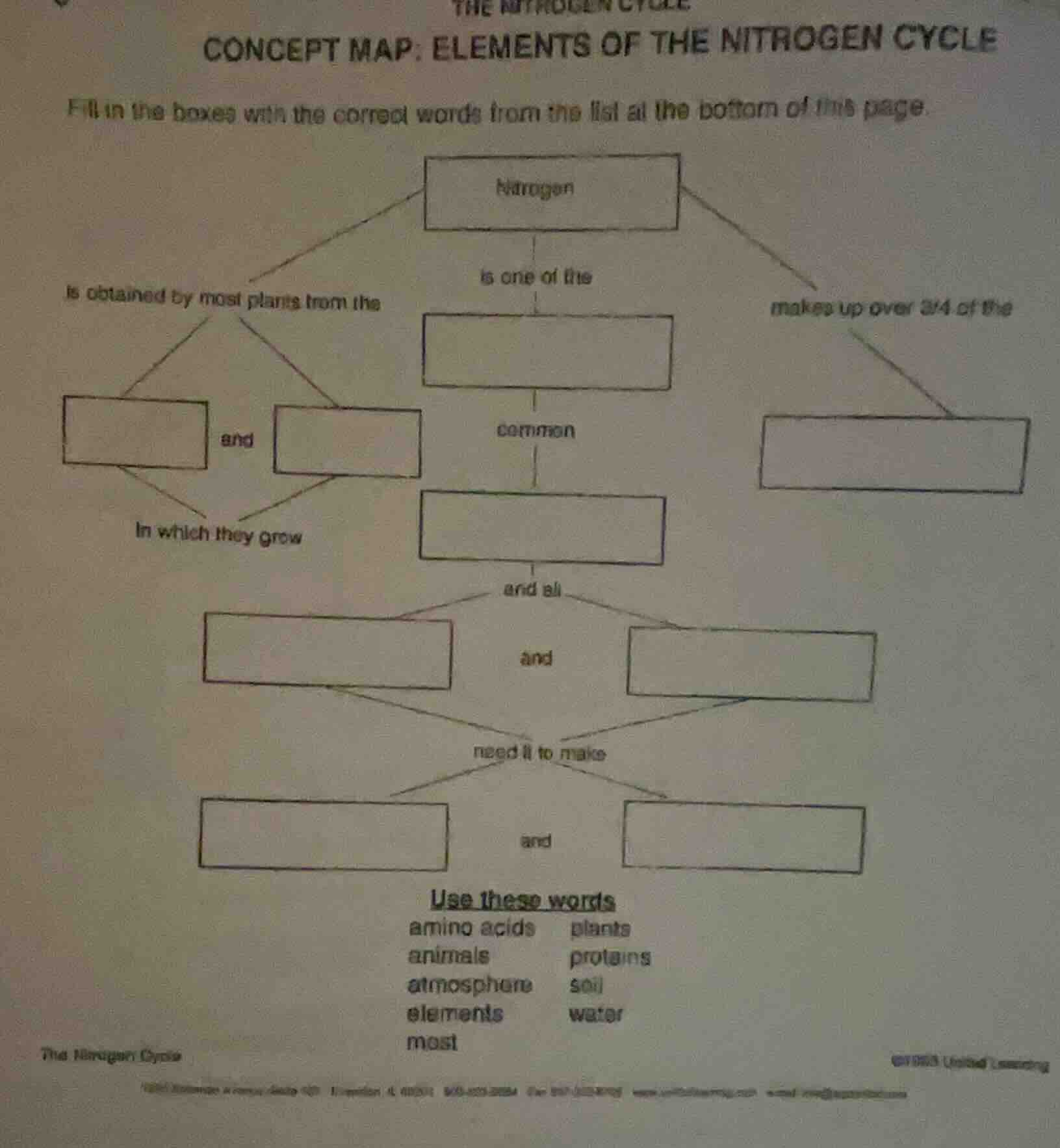 the nitrogen cycle concept map: elements of the nitrogen cycle fill in …