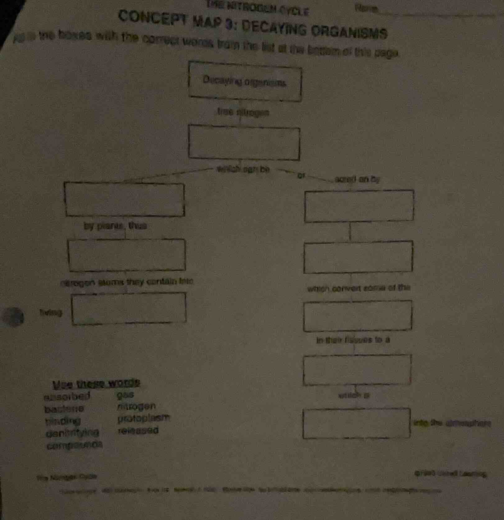 the nitrogen cycle concept map 3: decaying organisms fill in the boxes …