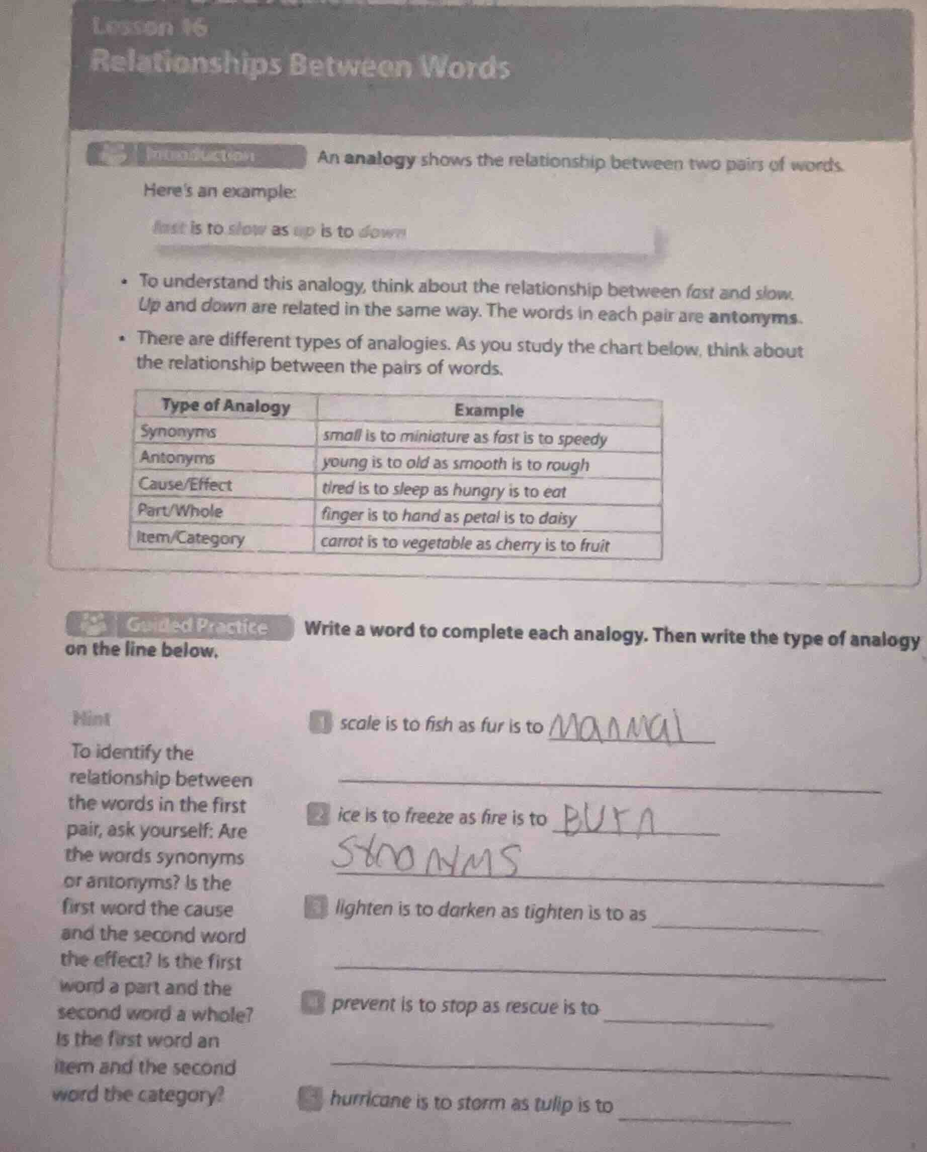 lesson 16 relationships between words introduction an analogy shows the…