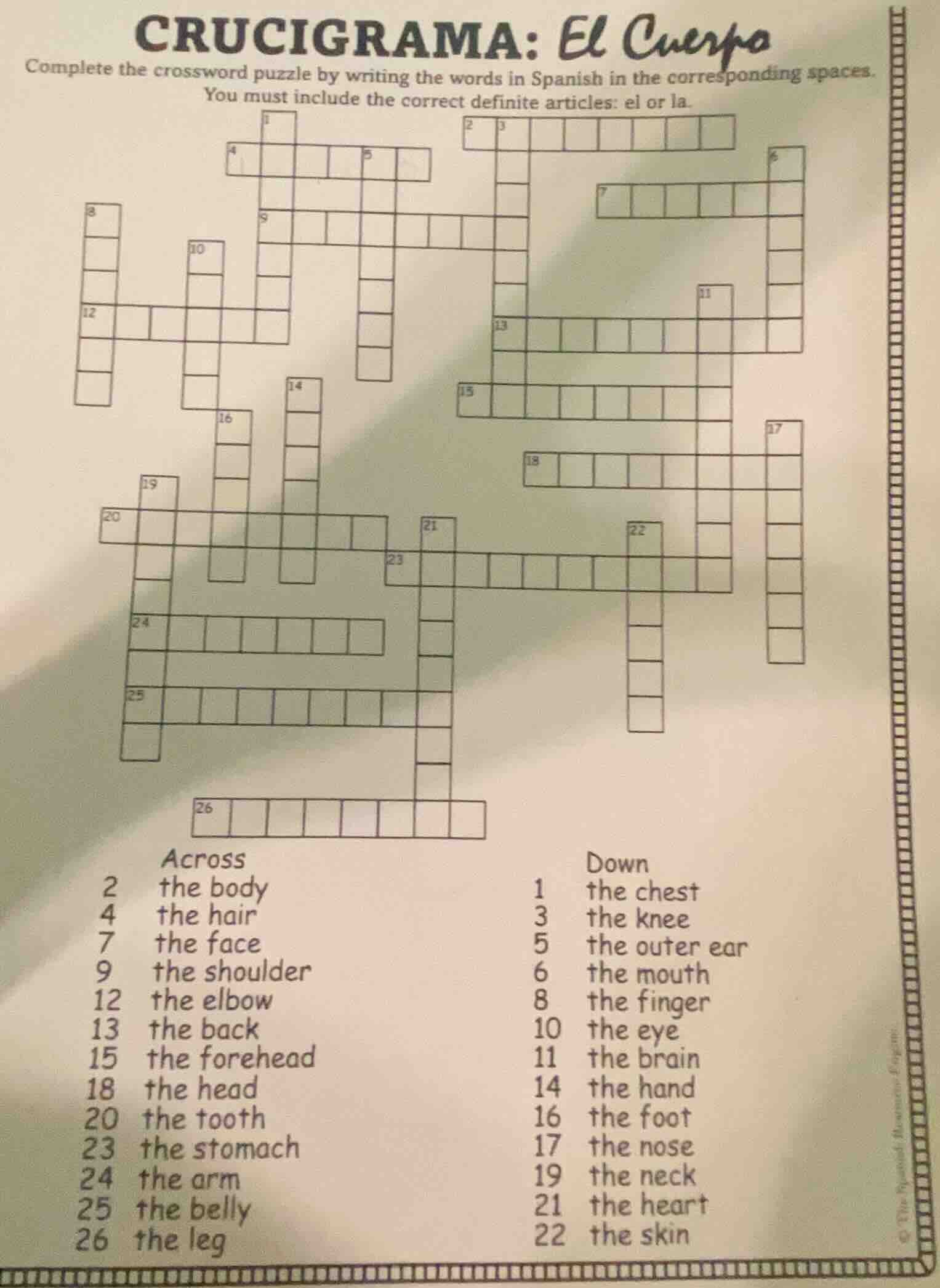 crucigrama: el cuerpo complete the crossword puzzle by writing the word…