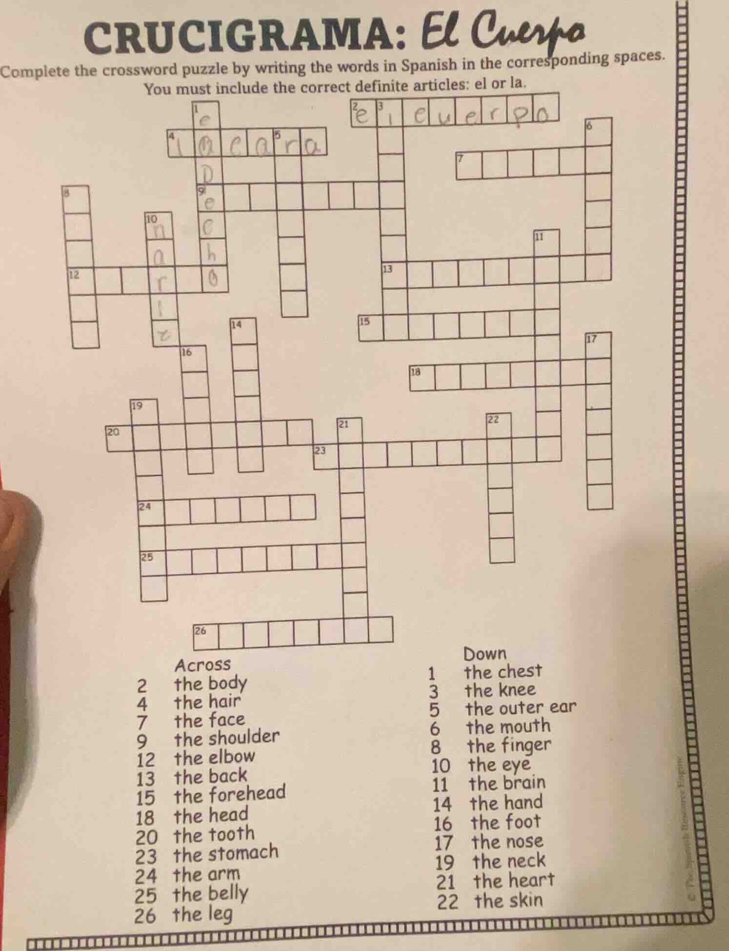 crucigrama: el cuerpo complete the crossword puzzle by writing the word…