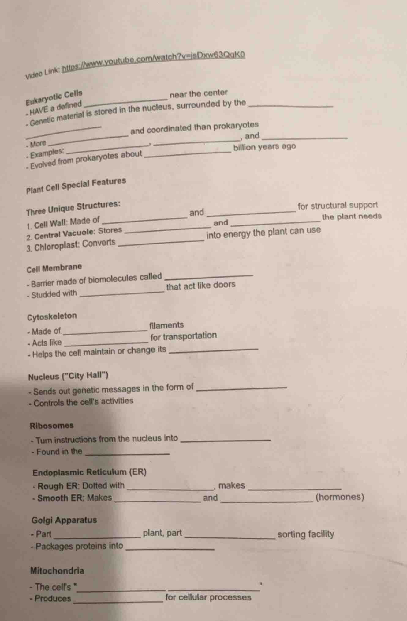 video link: https://www.youtube.com/watch?v=jsdxw63qak0 eukaryotic cell…